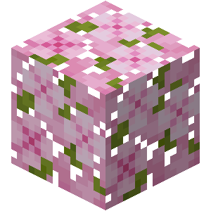 Minecraft Server